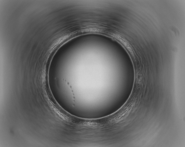 X0000111840437200907231411