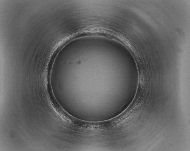 X0000111840438200907231411