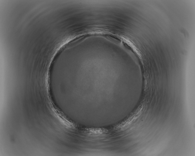 X0000111840439200907231411