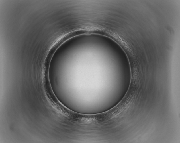 X0000111840440200907231411