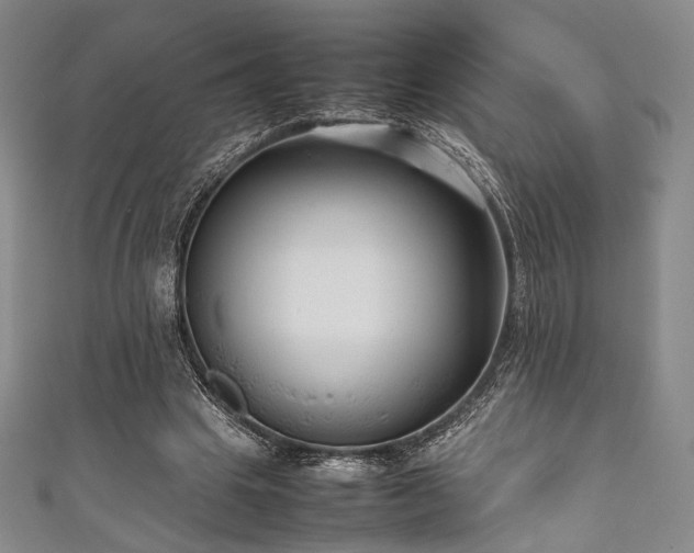 X0000111840441200907231411