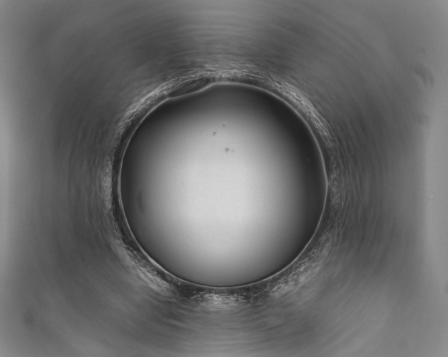 X0000111840442200907231411