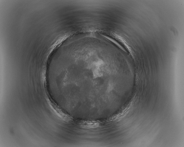 X0000111840443200907231411