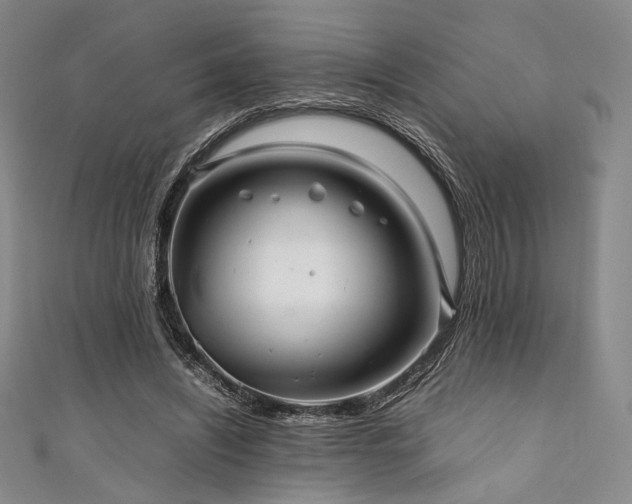 X0000111840444200907231411