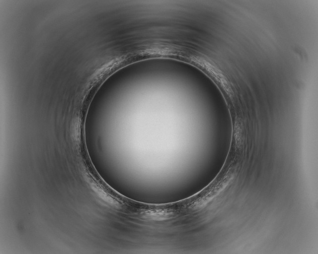 X0000111840445200907231411