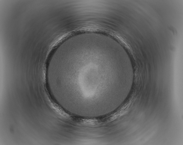 X0000111840446200907231411