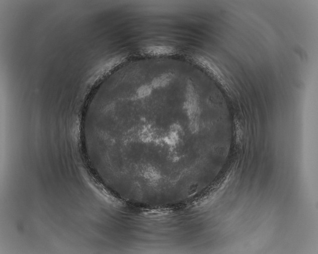 X0000111840447200907231411