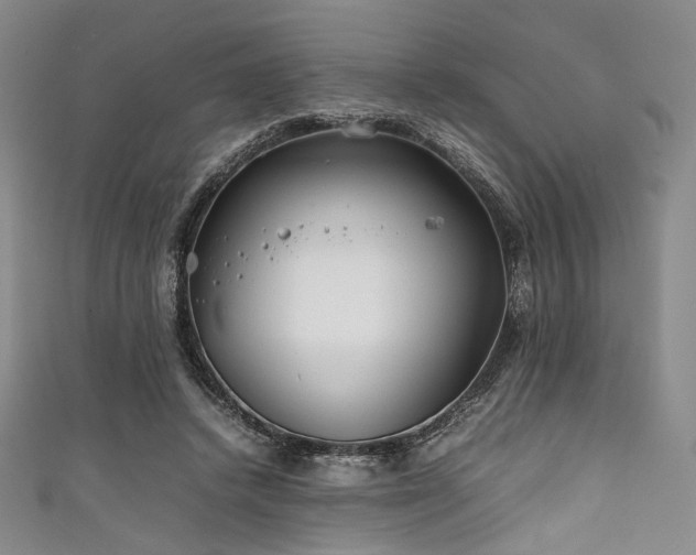 X0000111840448200907231411