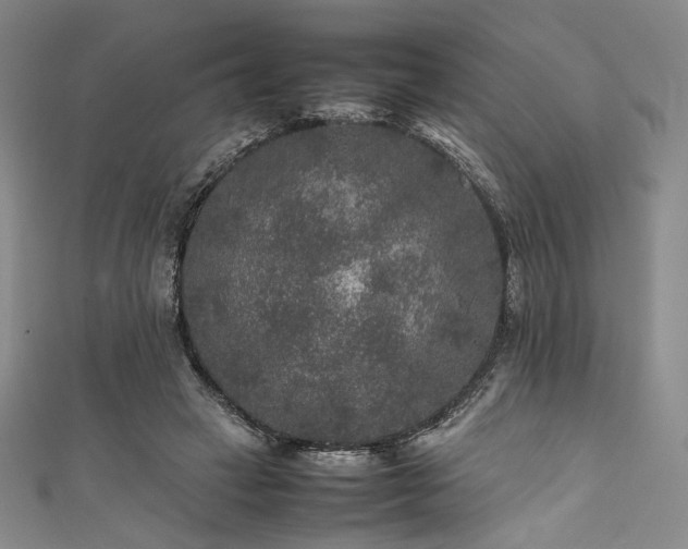 X0000111840449200907231411