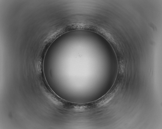 X0000111840450200907231411