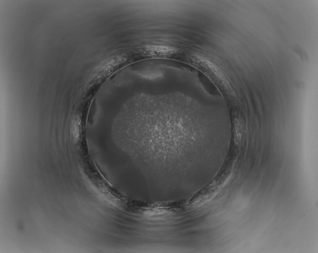 X0000111840451200907231411