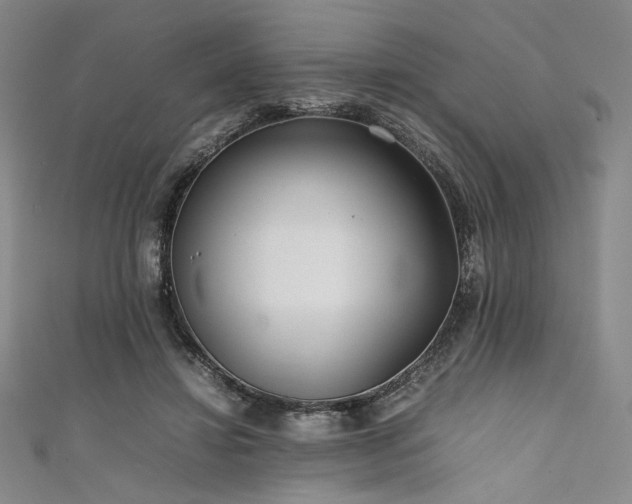 X0000111840452200907231411