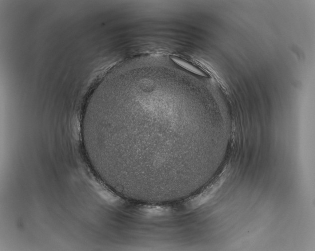 X0000111840453200907231411