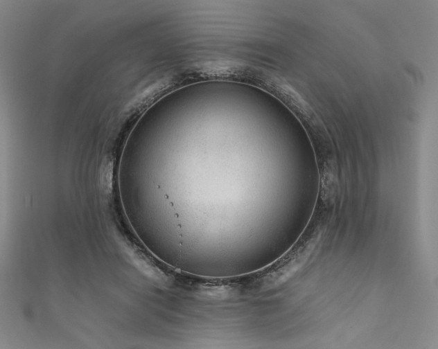 X0000111840454200907231411