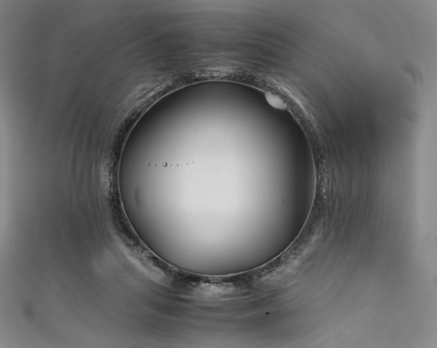 X0000111840455200907231411