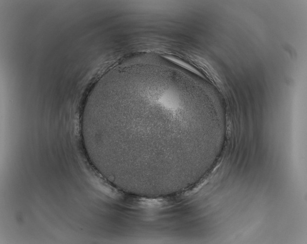 X0000111840457200907231411