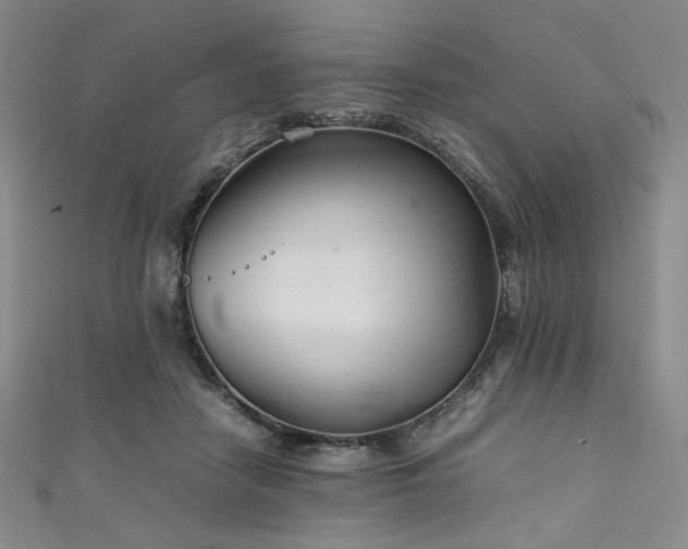 X0000111840458200907231412