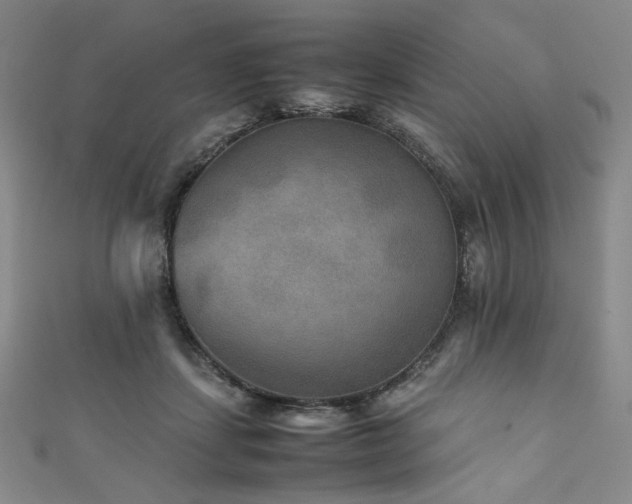 X0000111840459200907231412