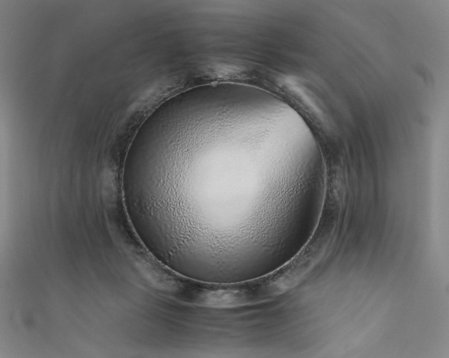 X0000111840461200907231412