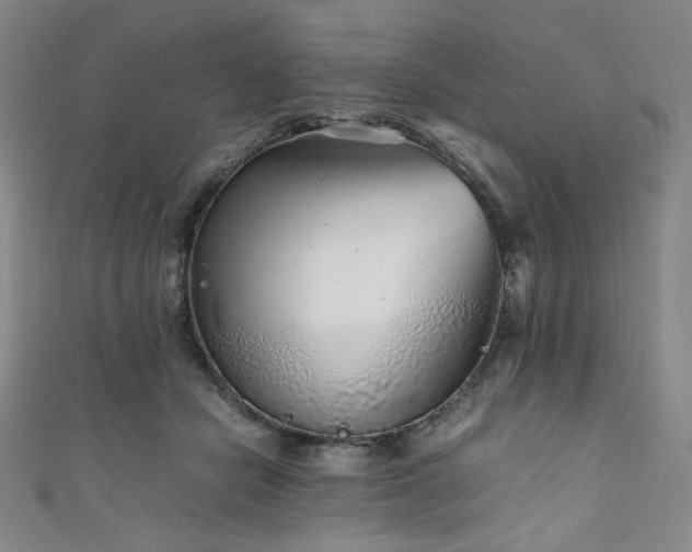 X0000111840462200907231412