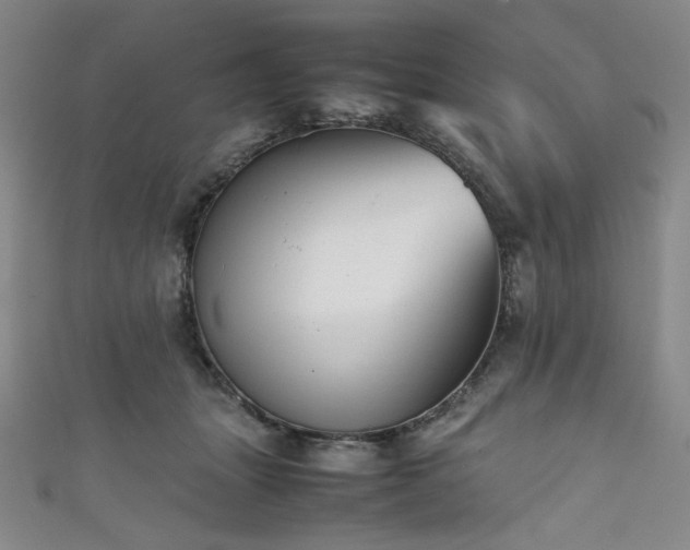 X0000111840463200907231412