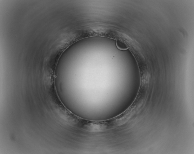 X0000111840464200907231412