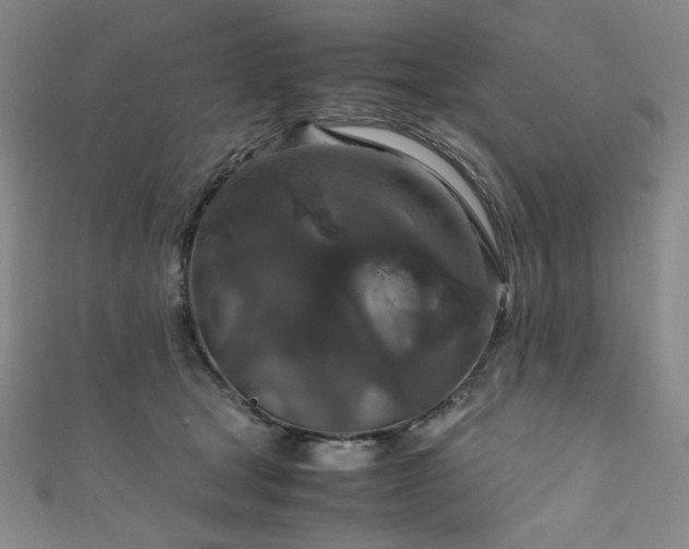 X0000111840465200907231412