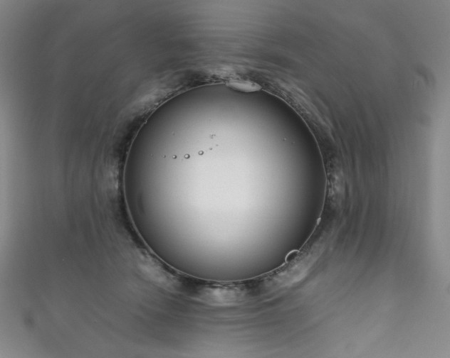 X0000111840466200907231412