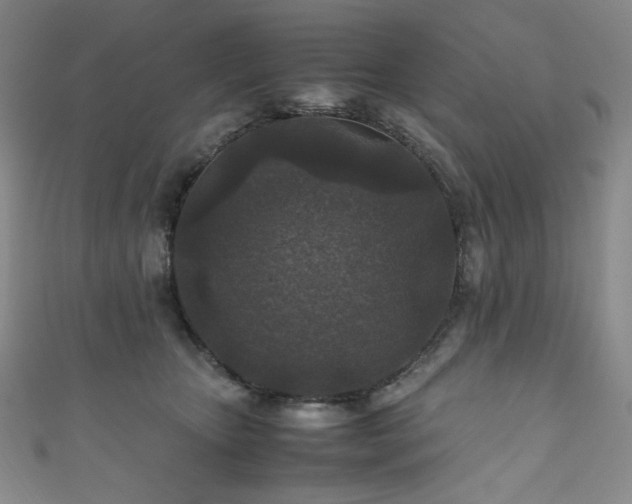 X0000111840467200907231412