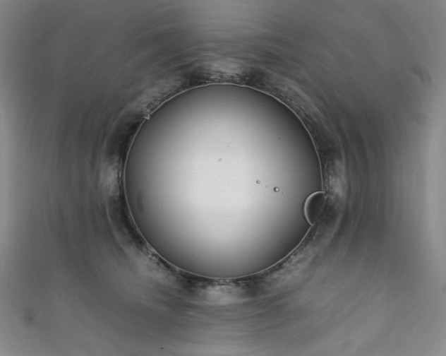 X0000111840468200907231412