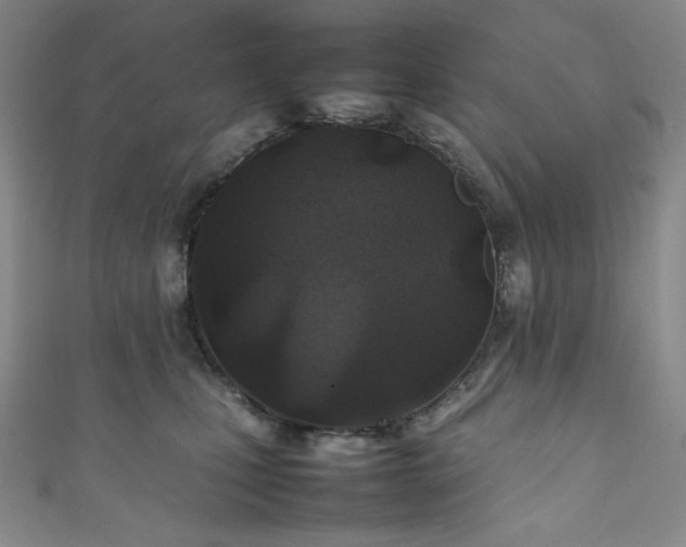 X0000111840471200907231412