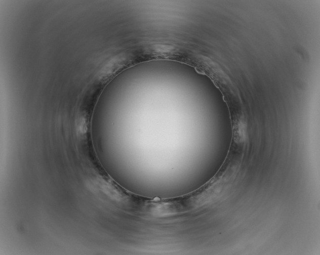 X0000111840472200907231412