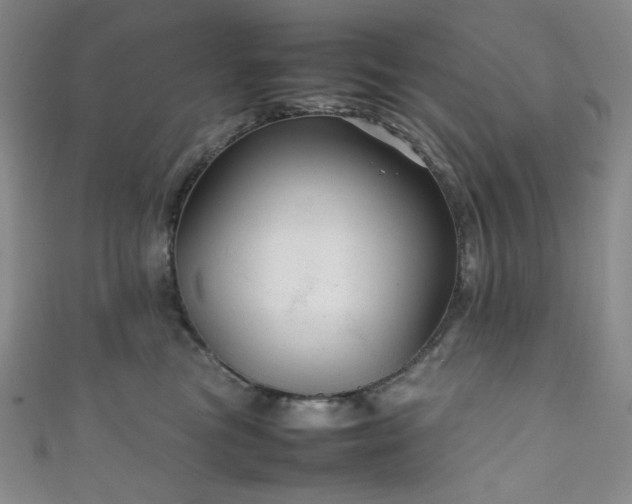 X0000111840473200907231412