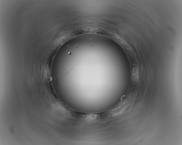 X0000111840474200907231412