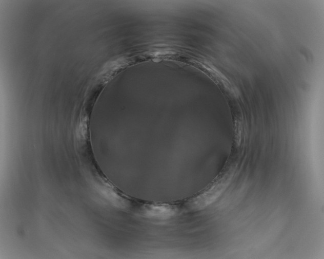 X0000111840475200907231412