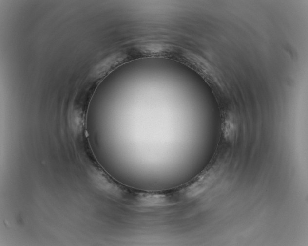 X0000111840476200907231412