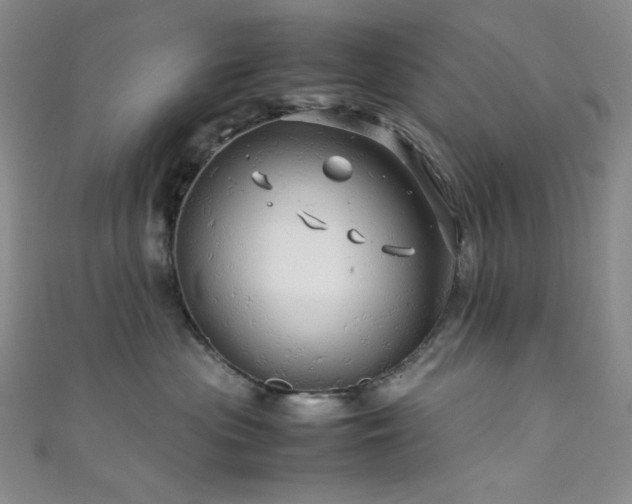 X0000111840477200907231412