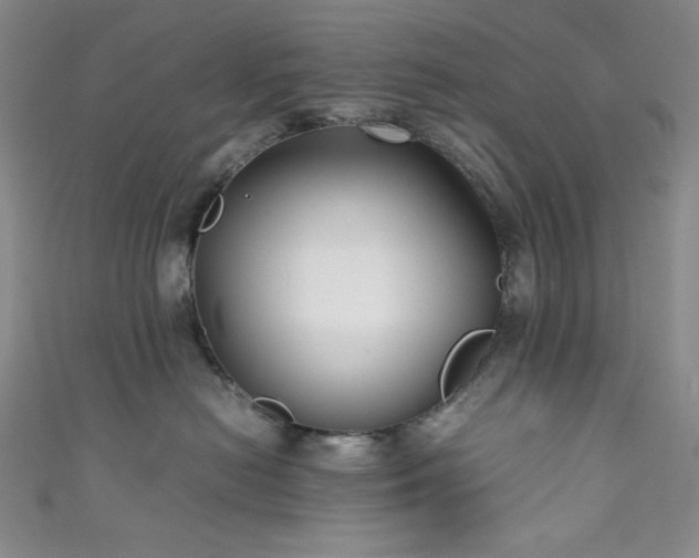 X0000111840478200907231412