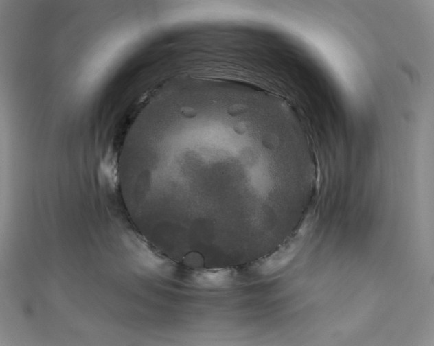 X0000111840479200907231412