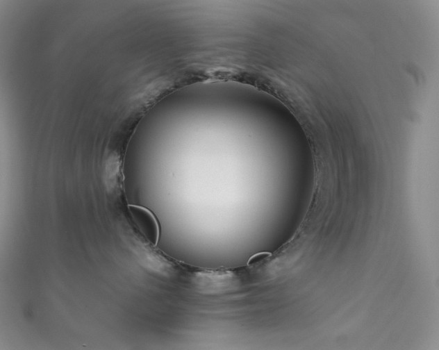 X0000111840480200907231412