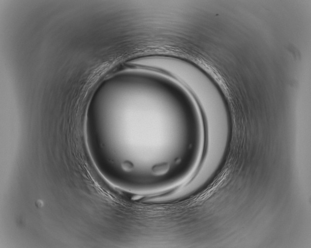 X0000111840481200907231411