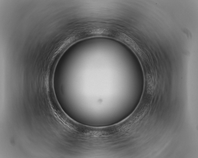 X0000111840482200907231411