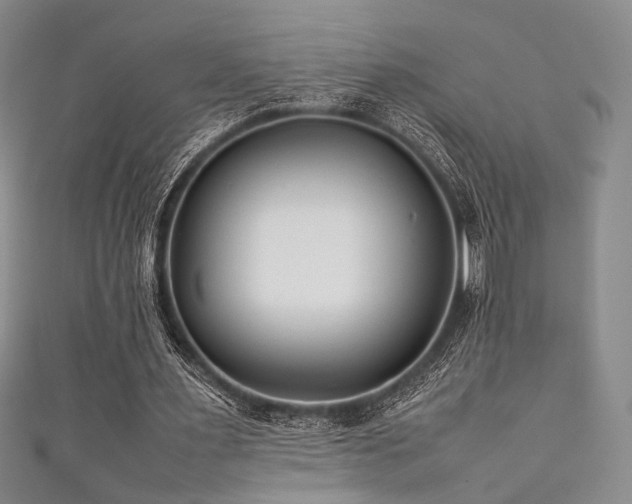 X0000111840483200907231411