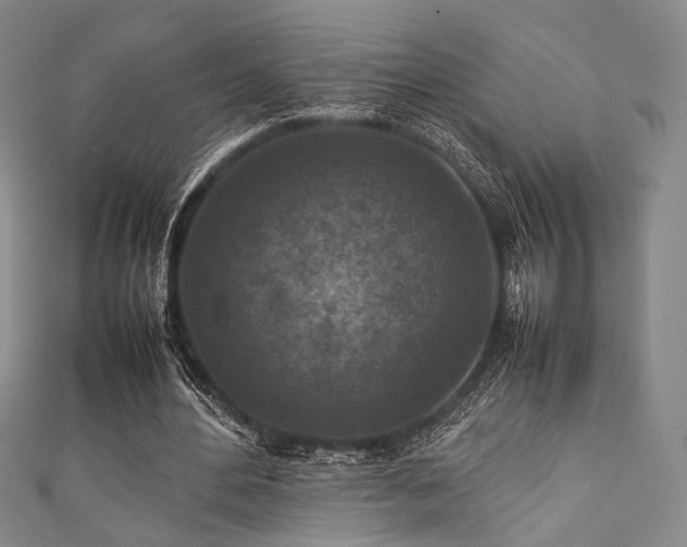 X0000111840484200907231411