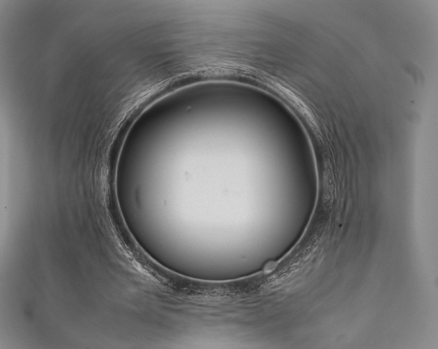 X0000111840485200907231411