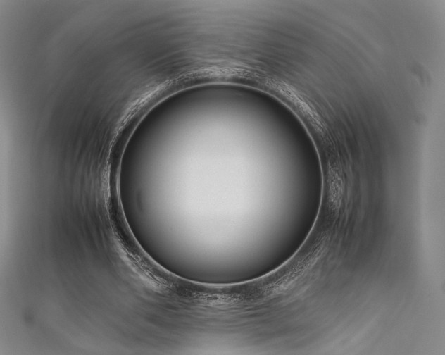 X0000111840486200907231411