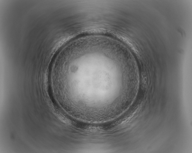 X0000111840487200907231411