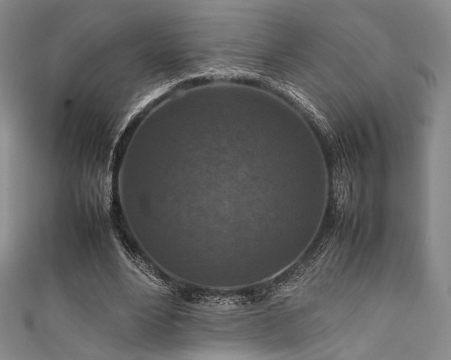 X0000111840488200907231411