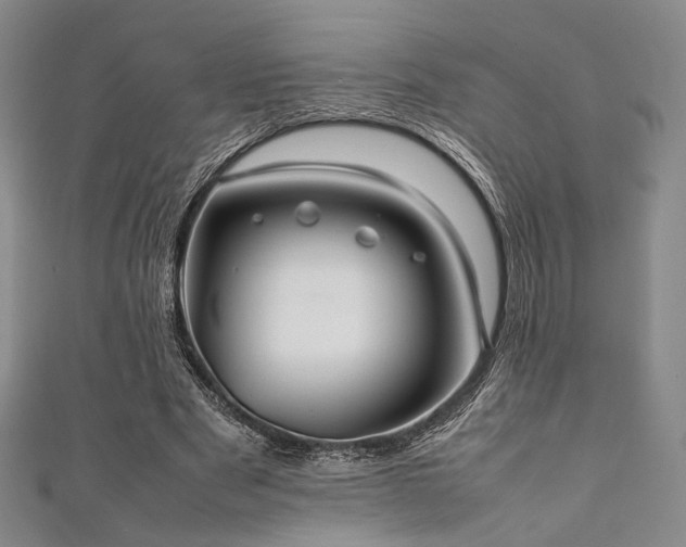 X0000111840489200907231411