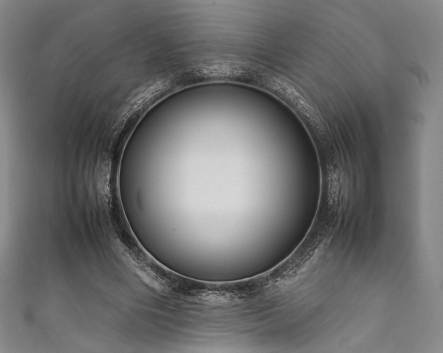 X0000111840490200907231411